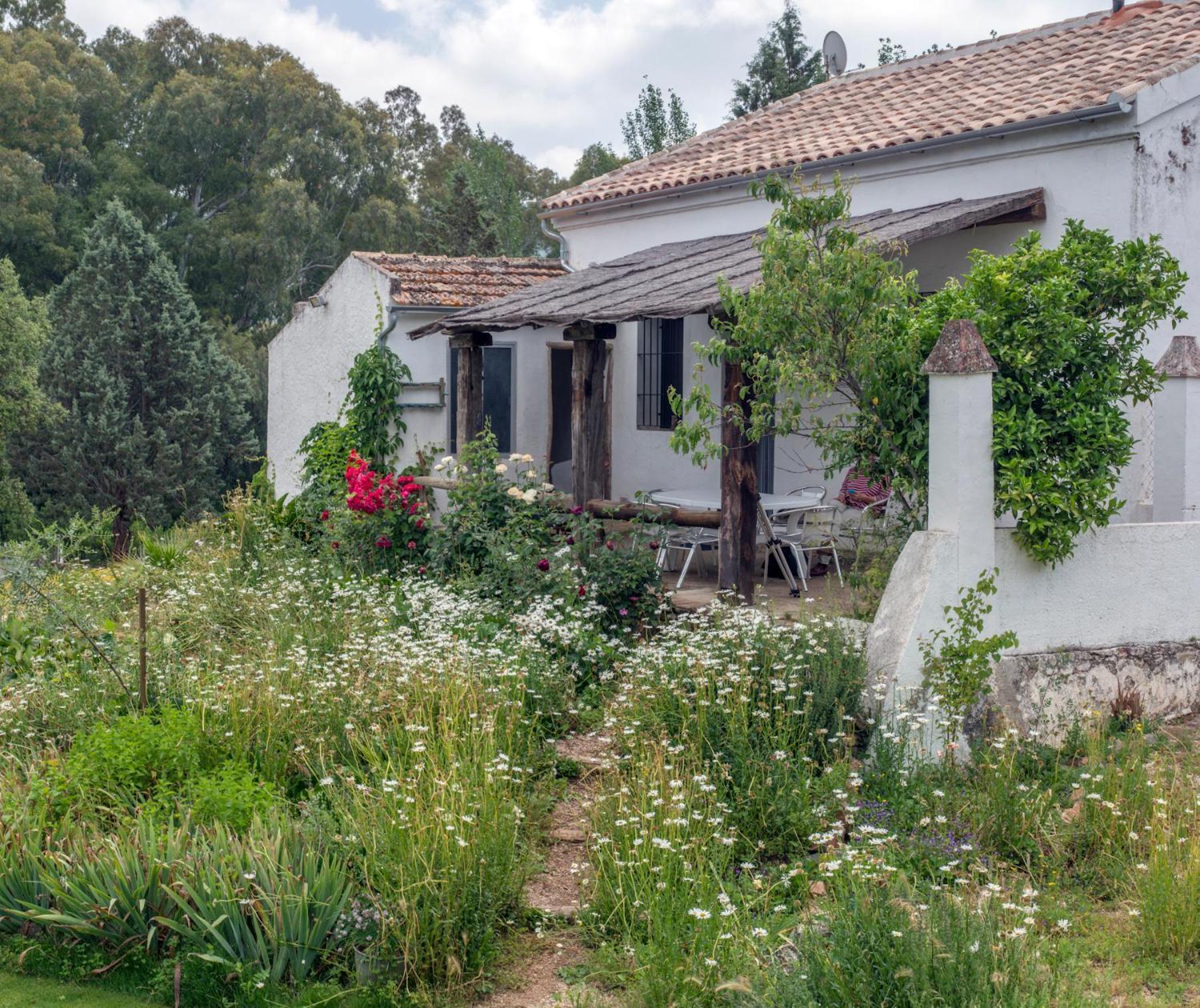 La Umbria De La Ribera Pensionat El Pedroso Exteriör bild