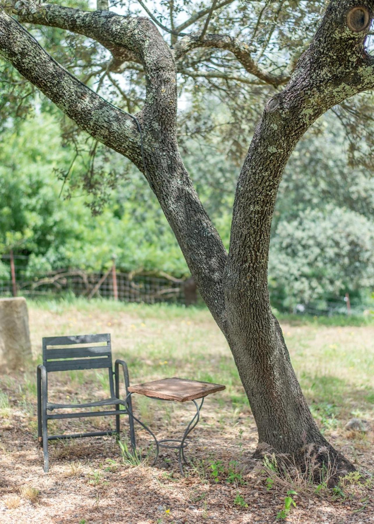 La Umbria De La Ribera Pensionat El Pedroso Exteriör bild