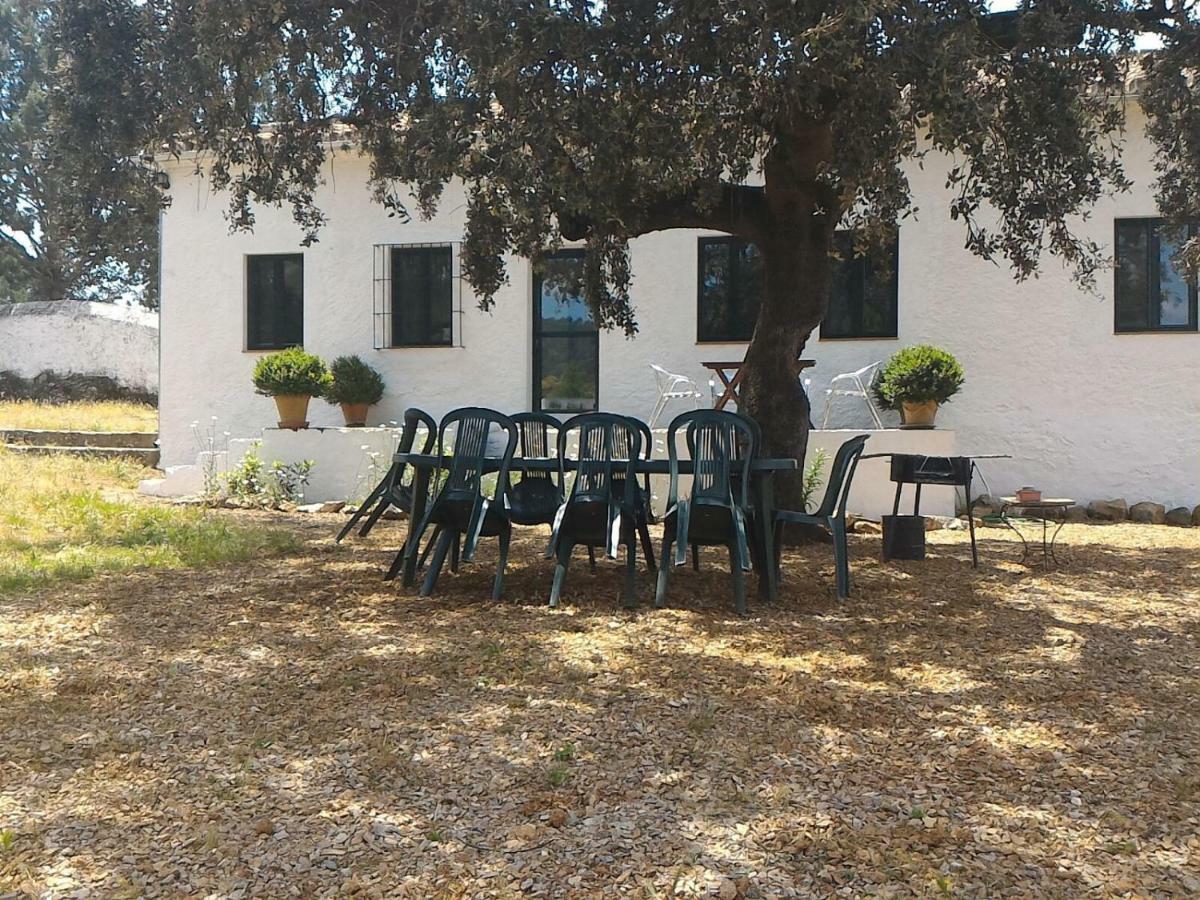 La Umbria De La Ribera Pensionat El Pedroso Exteriör bild