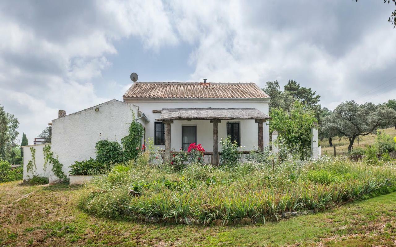 La Umbria De La Ribera Pensionat El Pedroso Exteriör bild