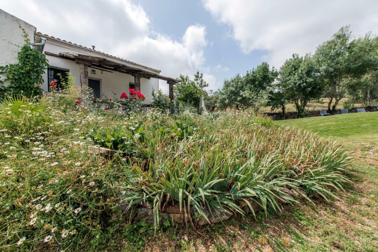 La Umbria De La Ribera Pensionat El Pedroso Exteriör bild