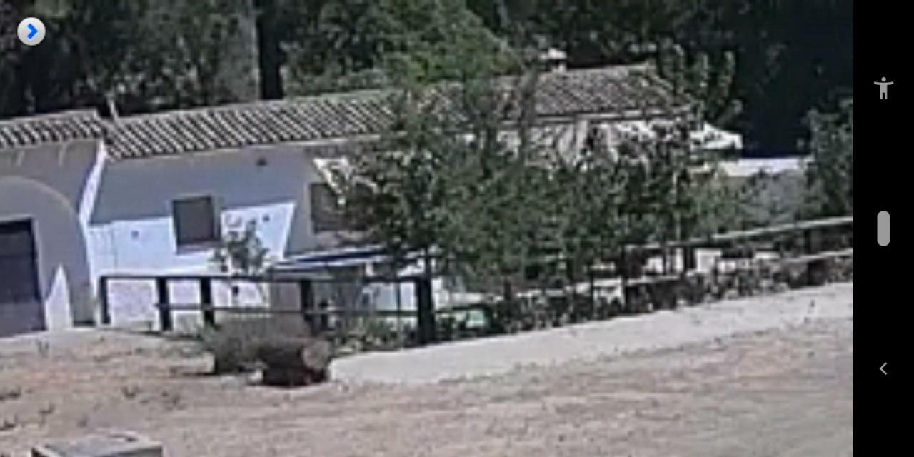 La Umbria De La Ribera Pensionat El Pedroso Exteriör bild